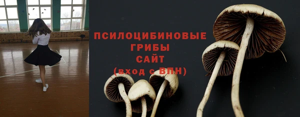 индика Алексеевка
