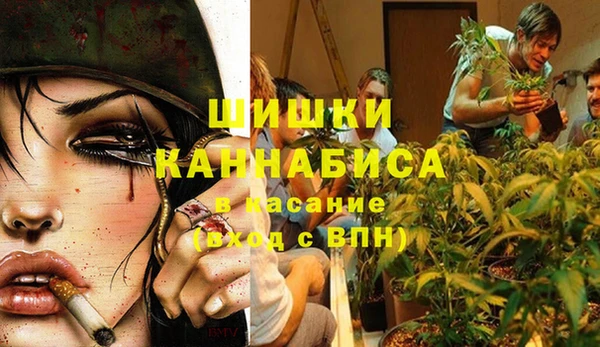 прущие крисы Арсеньев