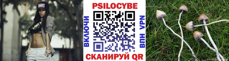 Галлюциногенные грибы прущие грибы  Бутурлиновка 